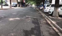 东村视频,揭秘乡村生活新篇章